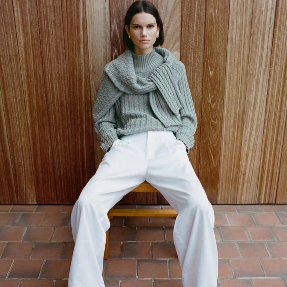 Everlane The Cotton Merino Cable Turtleneck